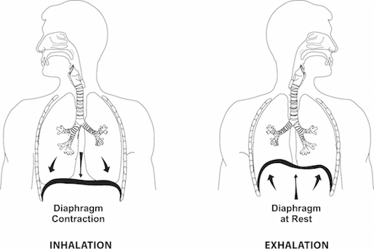 how to breathe with diaphragm when singing